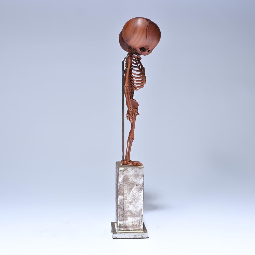 Artwork by Willy Vandekerckhove, sculpture of a wooden two-headed skeleton under a glass dome, Made of Wood