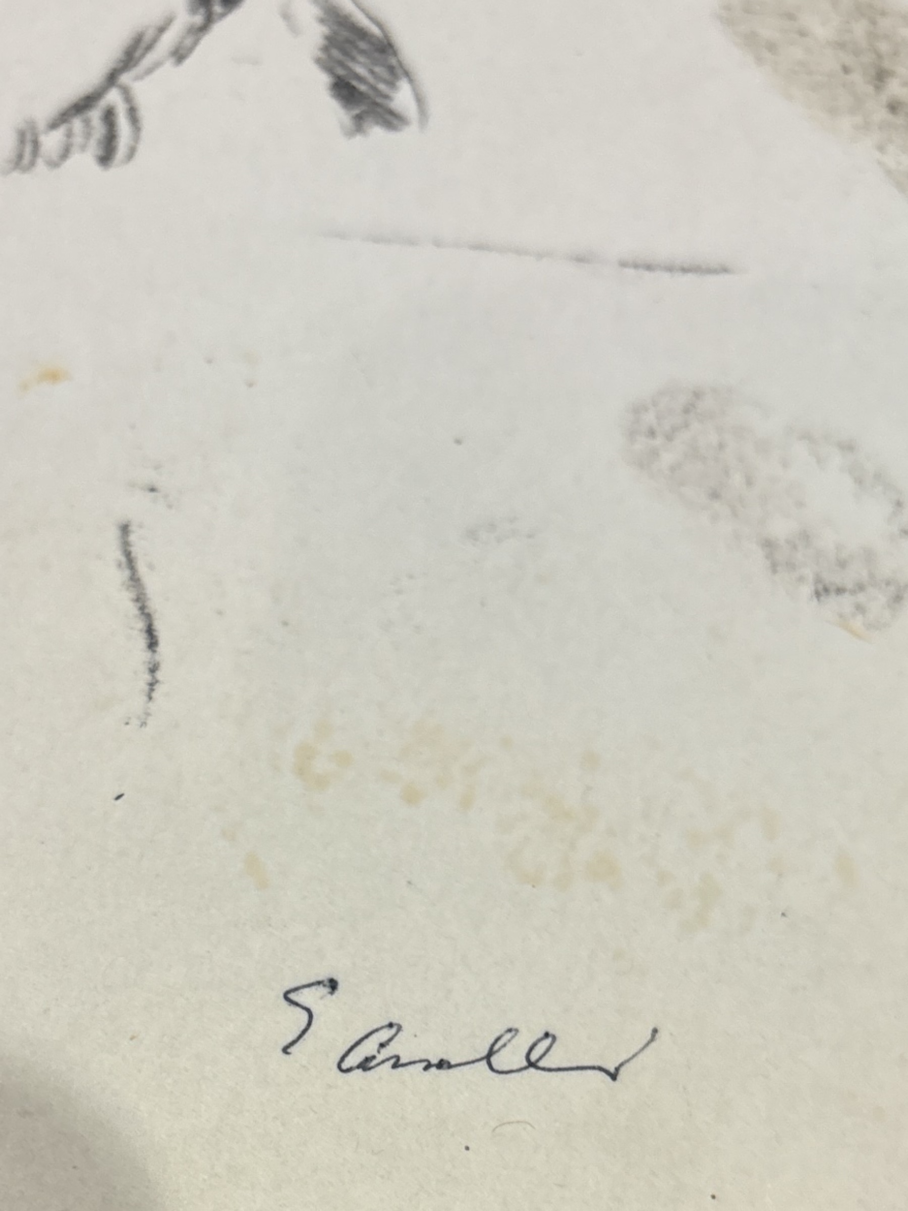 Artwork by Emanuele Cavalli, Lotto di 20 disegni, Made of graphite on paper