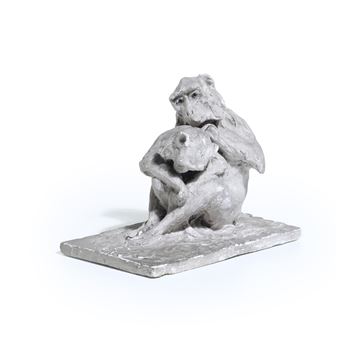 Scimmie - Guido Righetti