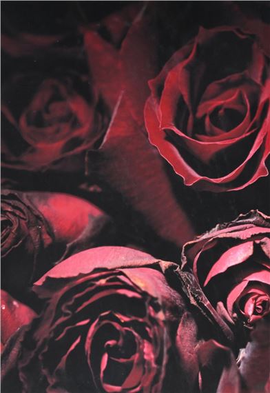 A rose is a rose is a roseâ - Marie-Jo Lafontaine