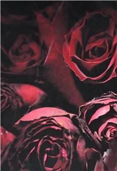 A rose is a rose is a roseâ - Marie-Jo Lafontaine