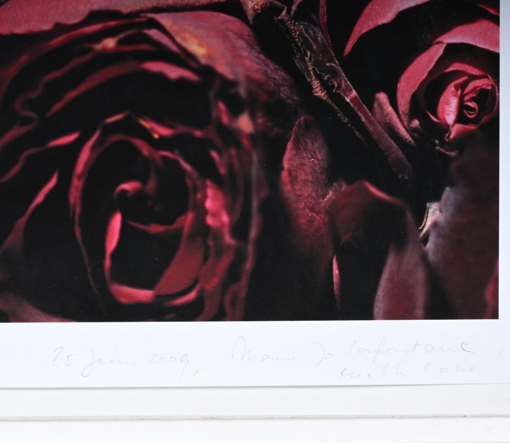 Artwork by Marie-Jo Lafontaine, A rose is a rose is a roseâ, Made of Photograph