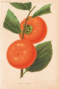 September Auction: Paintings and Sculptures - Segre Auctions