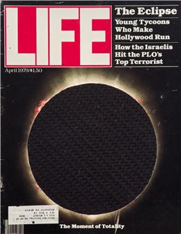 Domestic Drawing (LIFE, April 19, 1979), 2012 - Matthew Day Jackson