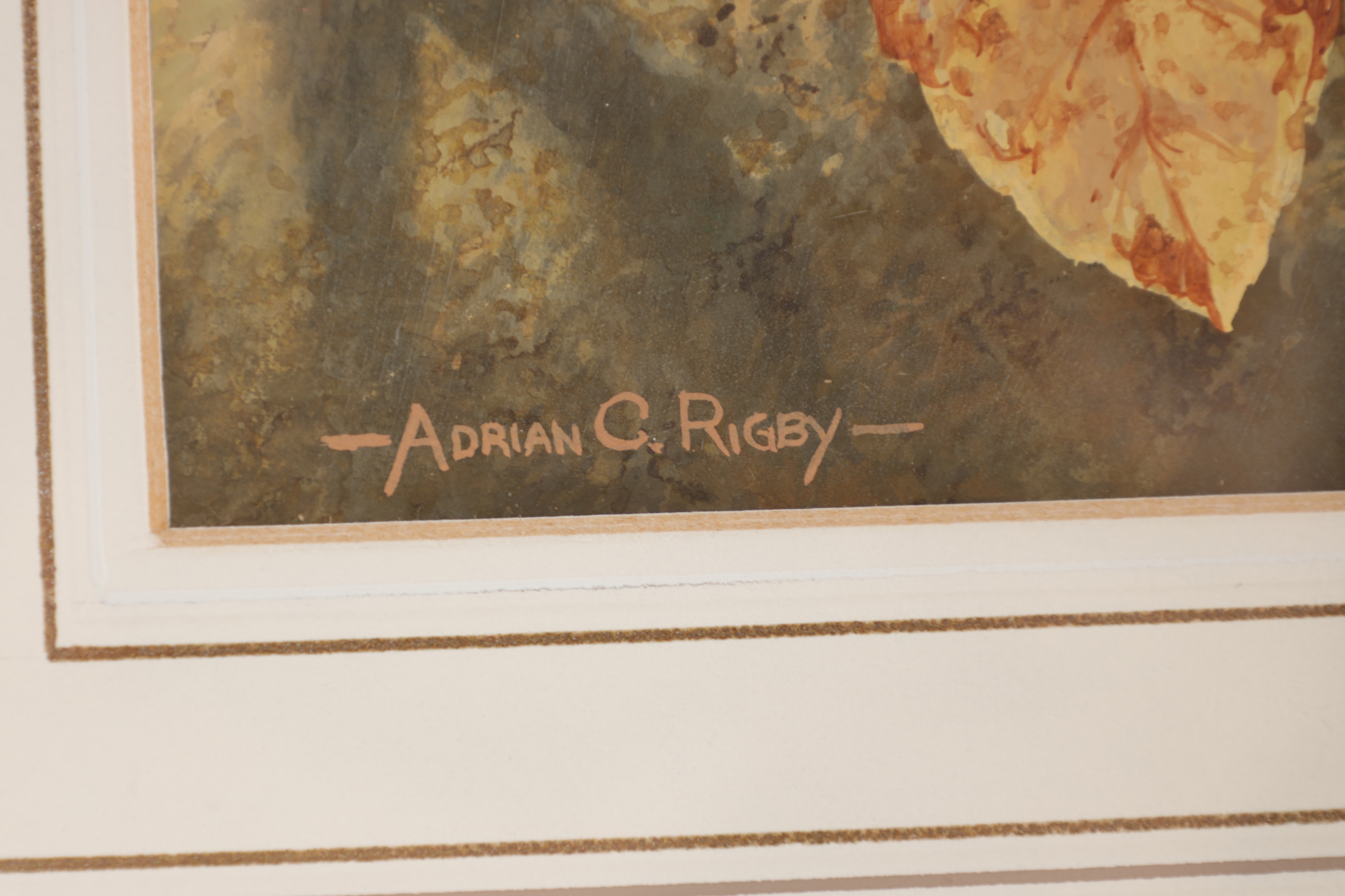 Adrian Rigby | A SQUIRREL | MutualArt