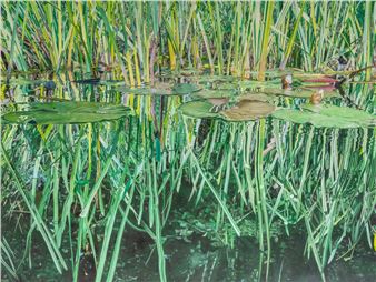 A vibrant painting of a marshy pond with tall grasses and floating lily pads.