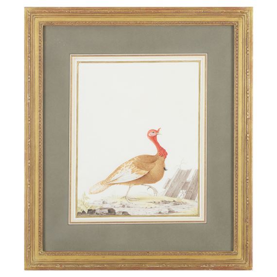 Turkey by Nicolas Robert