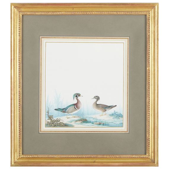 Wood Ducks by Nicolas Robert