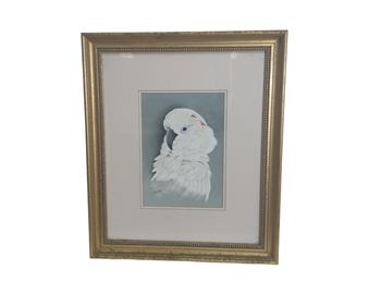 Moluccan Cockatoo - Eric Peake