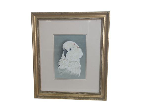 Moluccan Cockatoo by Eric Peake, September 2003