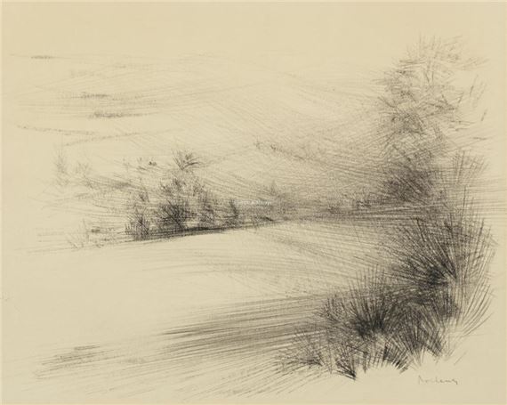 Forest edge - Karel Roelants