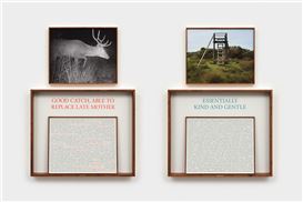 Paula Cooper Gallery debuts Sophie Calle's expanded work, On the Hunt