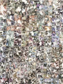 Sophie Cheung: Concrete Colours - Galerie Ora-Ora