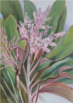 Flowering Cordylines - Marian Ellis Rowan