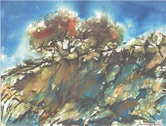 Hillside near Thredbo - Erika Beck