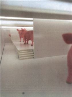 Cecilia Bjartmar Hylta and Samuel Hindolo: Did Habit leave?