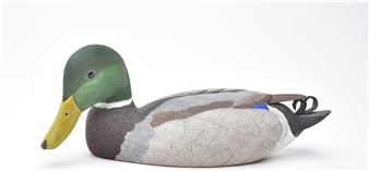 Mallard - Mike Killian