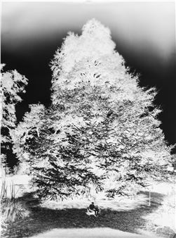 Vincent Zanni: Impressions of Home - Frank Taal Galerie