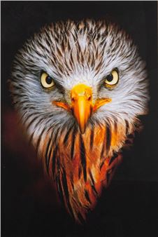 Mean Machine - Brian Sedgbeer