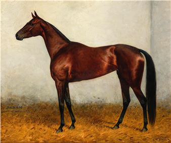 BABAM - Carl Franz Bauer