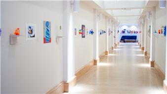 Nature’s Odyssey - Montgomery Museum of Fine Arts