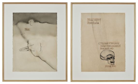 NUT; HOMO SAPIENS FROM INDIA - Atul Dodiya