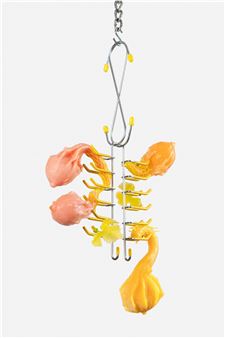 Flesh, Fixture, Feeling - Grizzly Grizzly