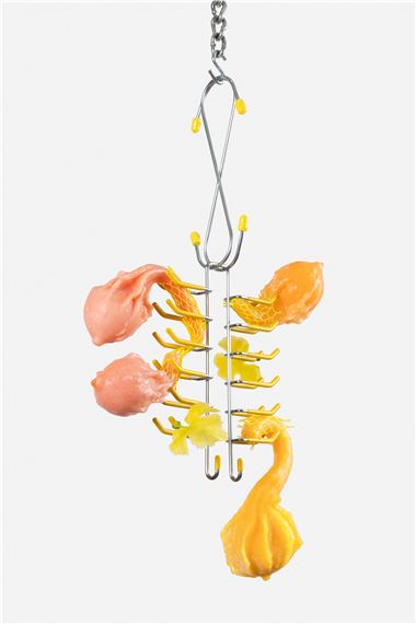 Flesh, Fixture, Feeling - Grizzly Grizzly