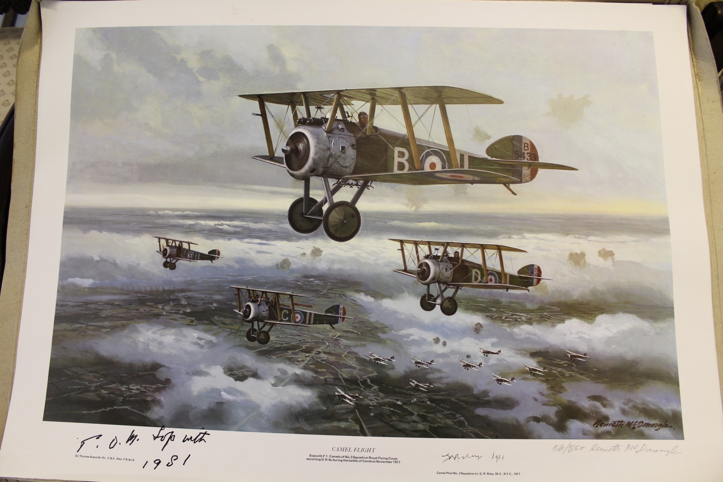 Kenneth McDonough | Camel Flight | MutualArt