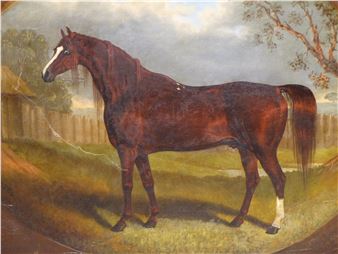 portrait of a horse - Samuel Spode
