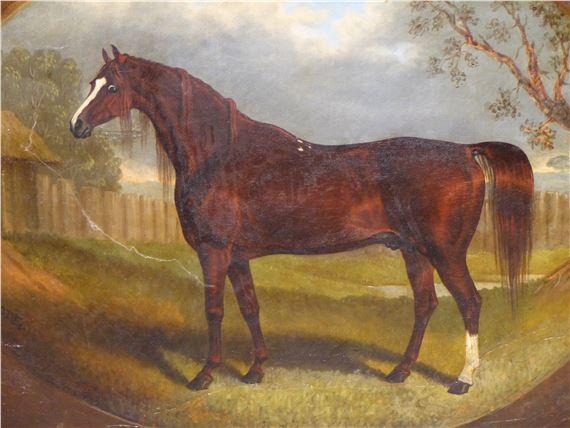 portrait of a horse - Samuel Spode