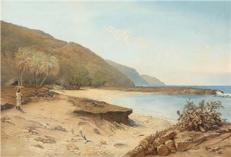 A view of a coast on the Virgin Islands - Frederik Visby