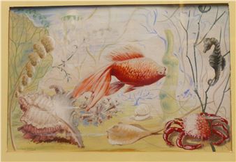 marine animals in reef settings - Peter Stebbing