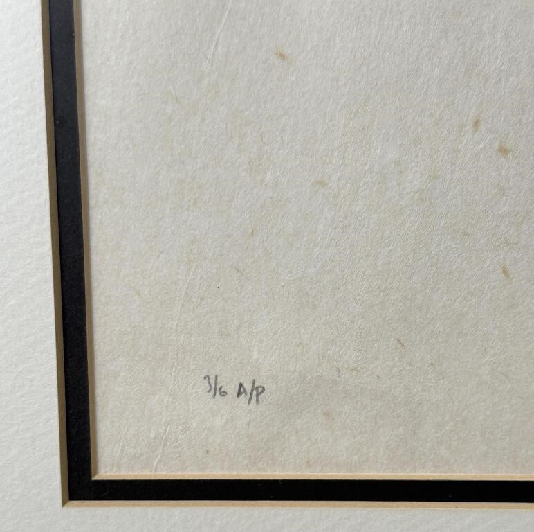 Artwork by Dirk Lee, Montana Ducks Print