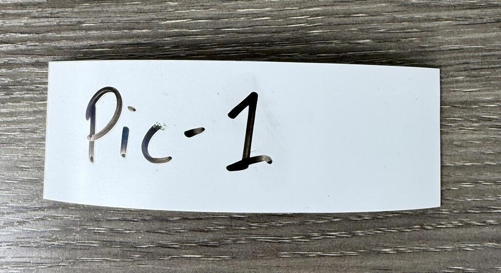 Artwork by Dirk Lee, Montana Ducks Print