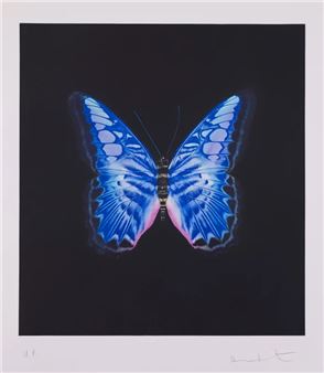 Damien Hirst: paintings. drawings, prints - Andipa