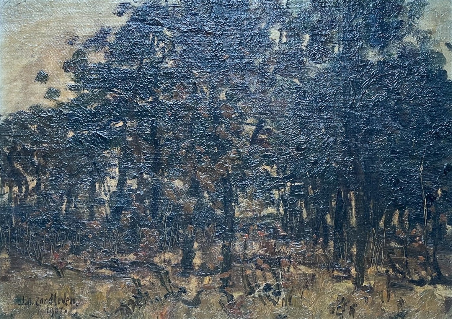 Artwork by Jan Adam Zandleven, Studie van Berkenbomen, Made of Olieverf Op Doek Op Paneel, Marouflé