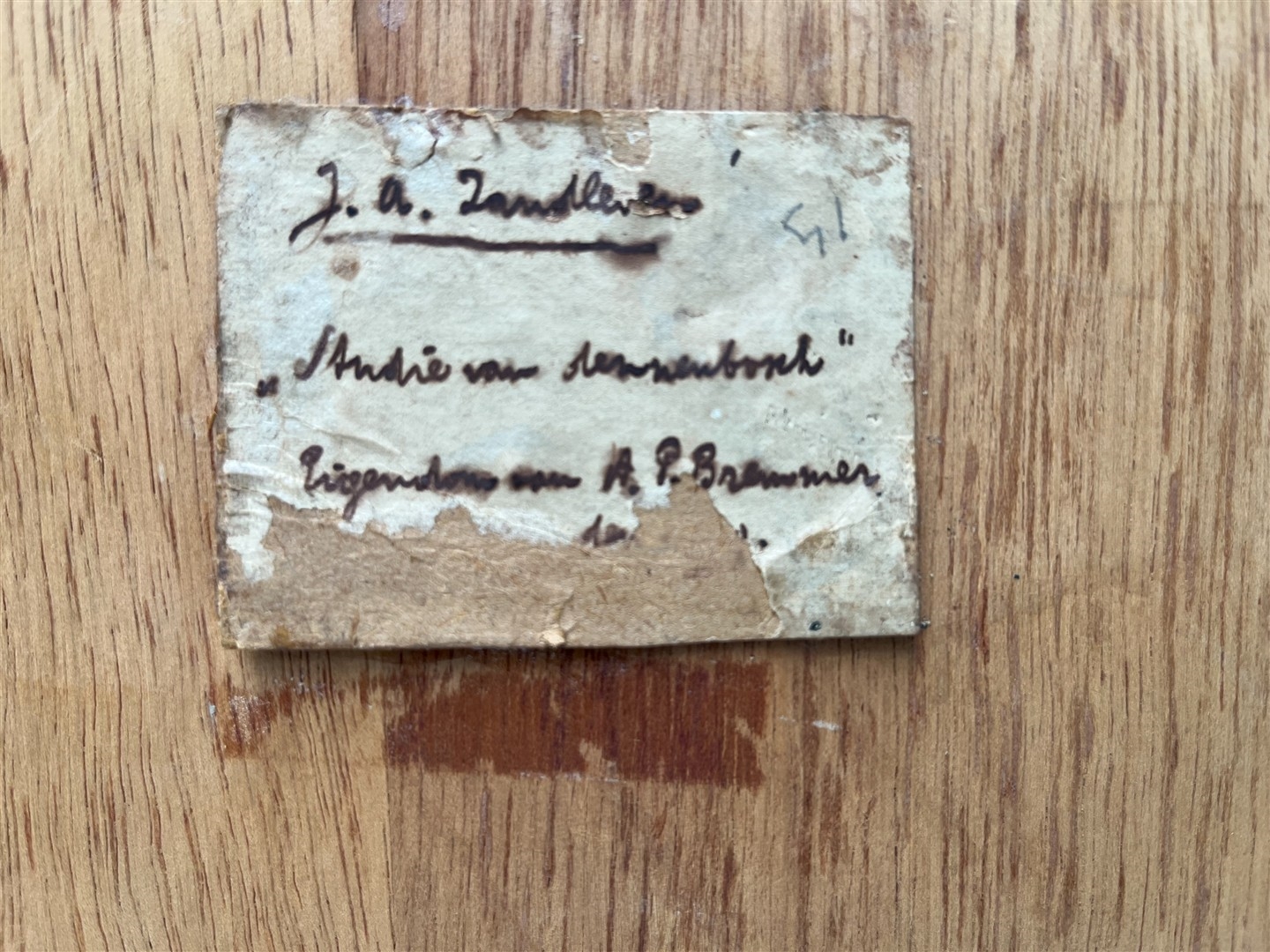 Artwork by Jan Adam Zandleven, Studie van Berkenbomen, Made of Olieverf Op Doek Op Paneel, Marouflé