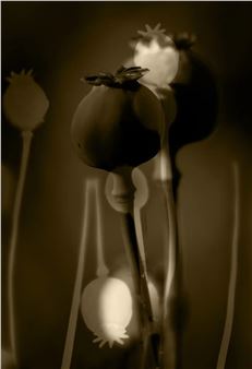 Discover the Winners of AAP Magazine 50 Shapes