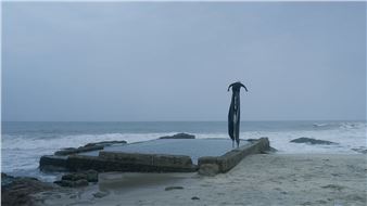 Jojo Gronostay: The Elephants - Neue Galerie Graz und BRUSEUM