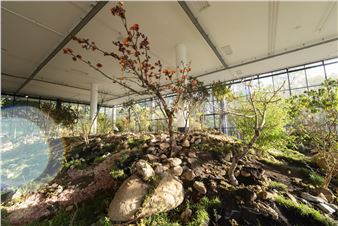 36th Bienal de São Paulo Review: Pidginising the Biennial