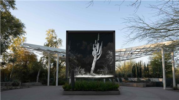 ScanLAB Projects: FRAMERATE: Desert Pulse - Desert Botanical Garden