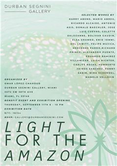 Light for the Amazon - Durban Segnini Gallery