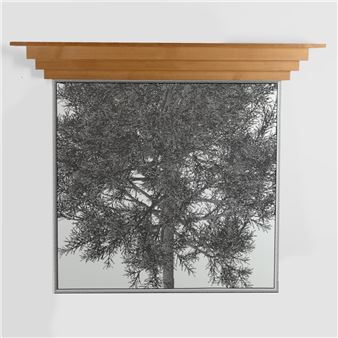 Elegy in C (White Pine - MANUAL