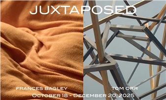 Frances Bagley and Tom Orr: Juxtaposed