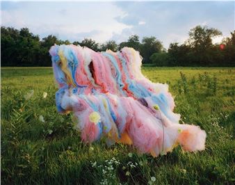 Rapt in Wonder - Houston Center for Photography