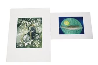 Cyclist - Edwina Maloney