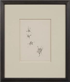 Frances Smokowski: Aetherscapes and Efficacies: Biomorphic Drawings - Cavin-Morris