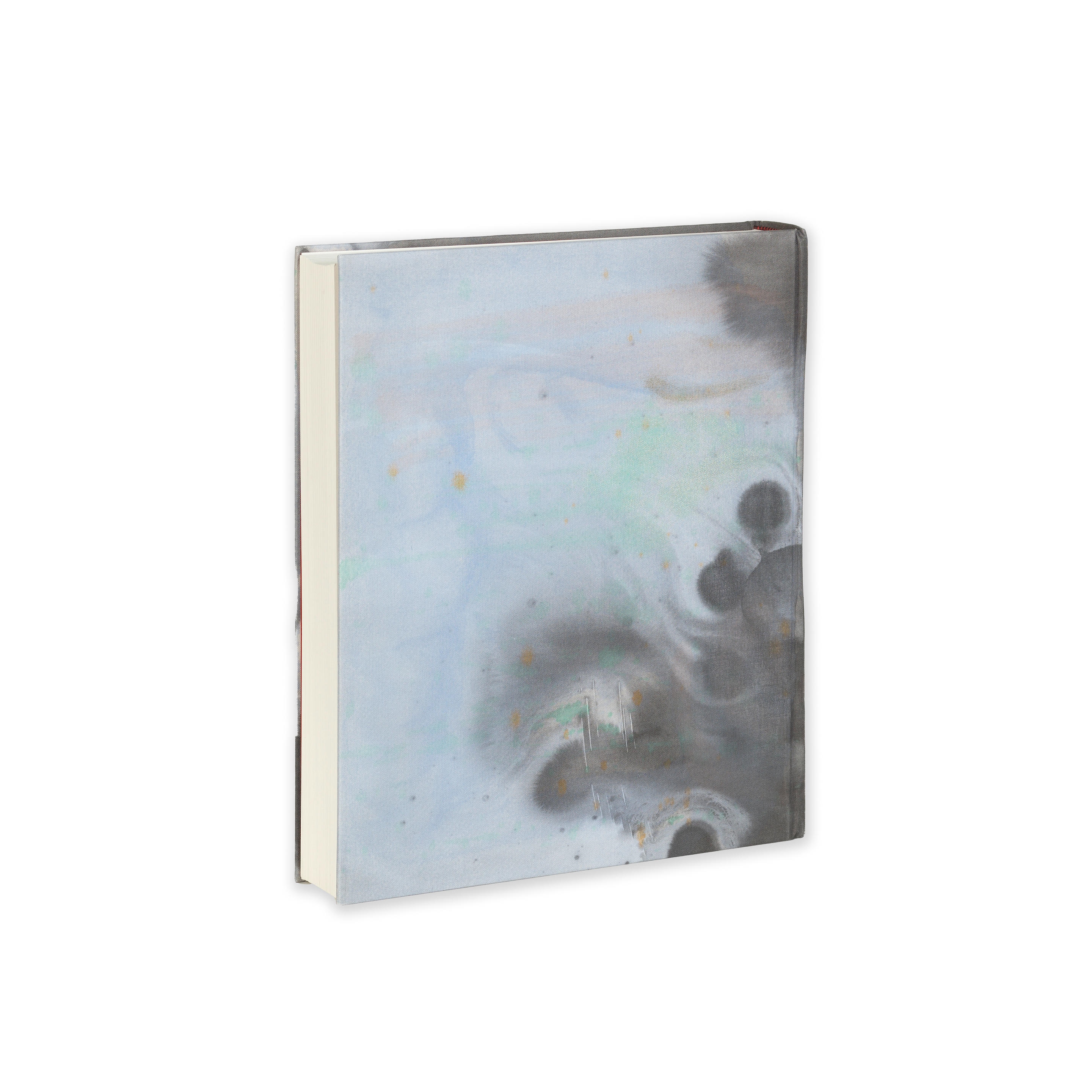 Artwork by Camille Henrot, Mother Tongue, Made of watercolour and acrylic hand-colouring to the linen cover