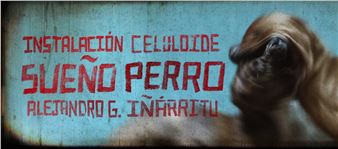 Alejandro González Iñárritu: Sueño Perro: Instalación Celuloide de Alejandro G. Iñárritu